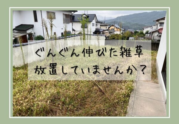 広島市で庭木剪定・雑草撤去工事をご検討の方へ、庭木剪定・雑草撤去工事事例を広島市に地域密着のクリーンハウス工業がご紹介します