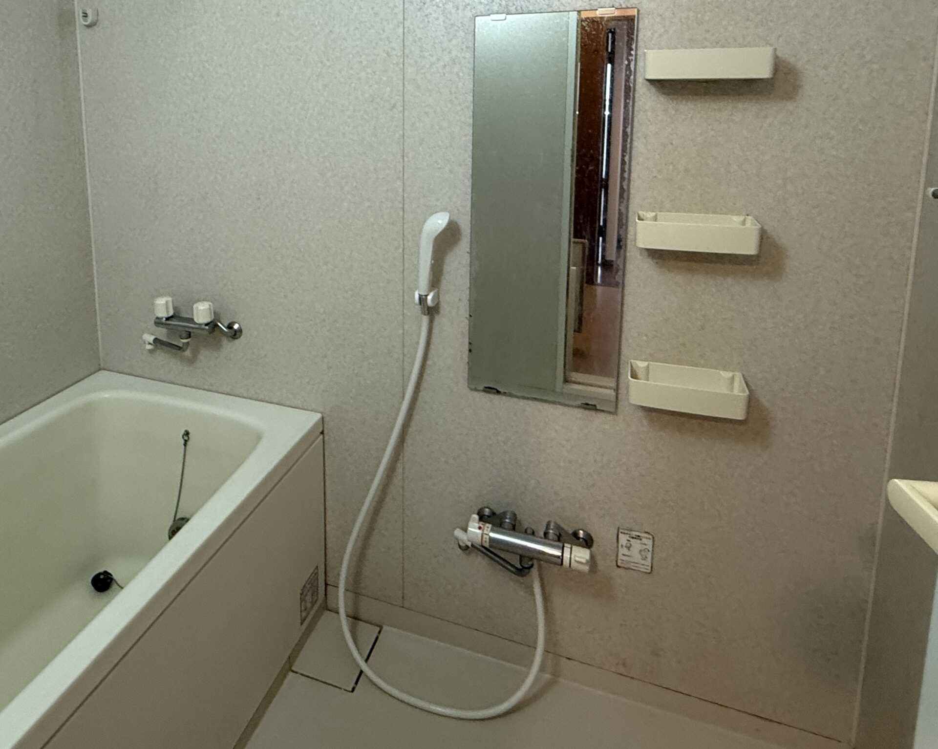 Before Image