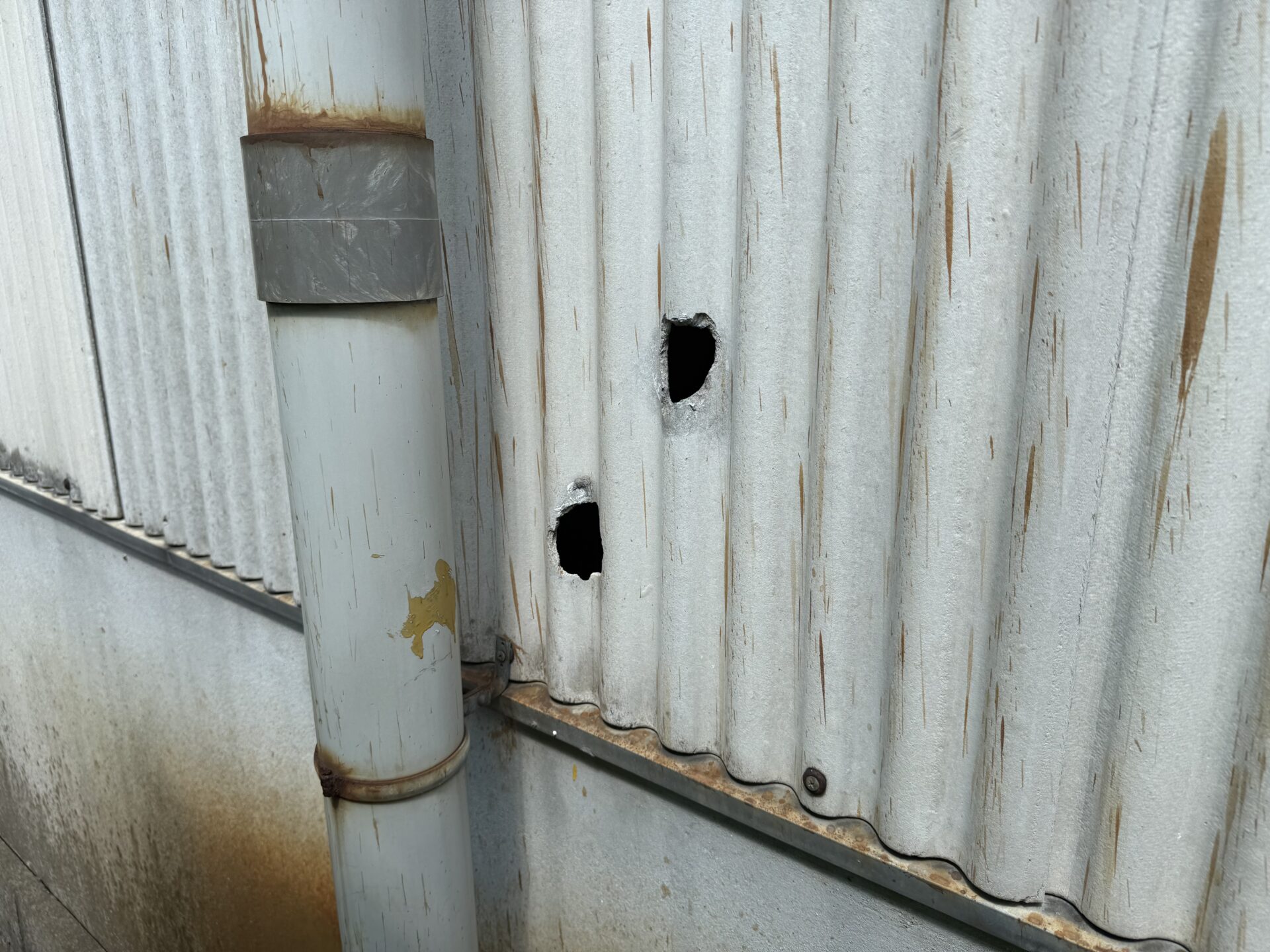 Before Image