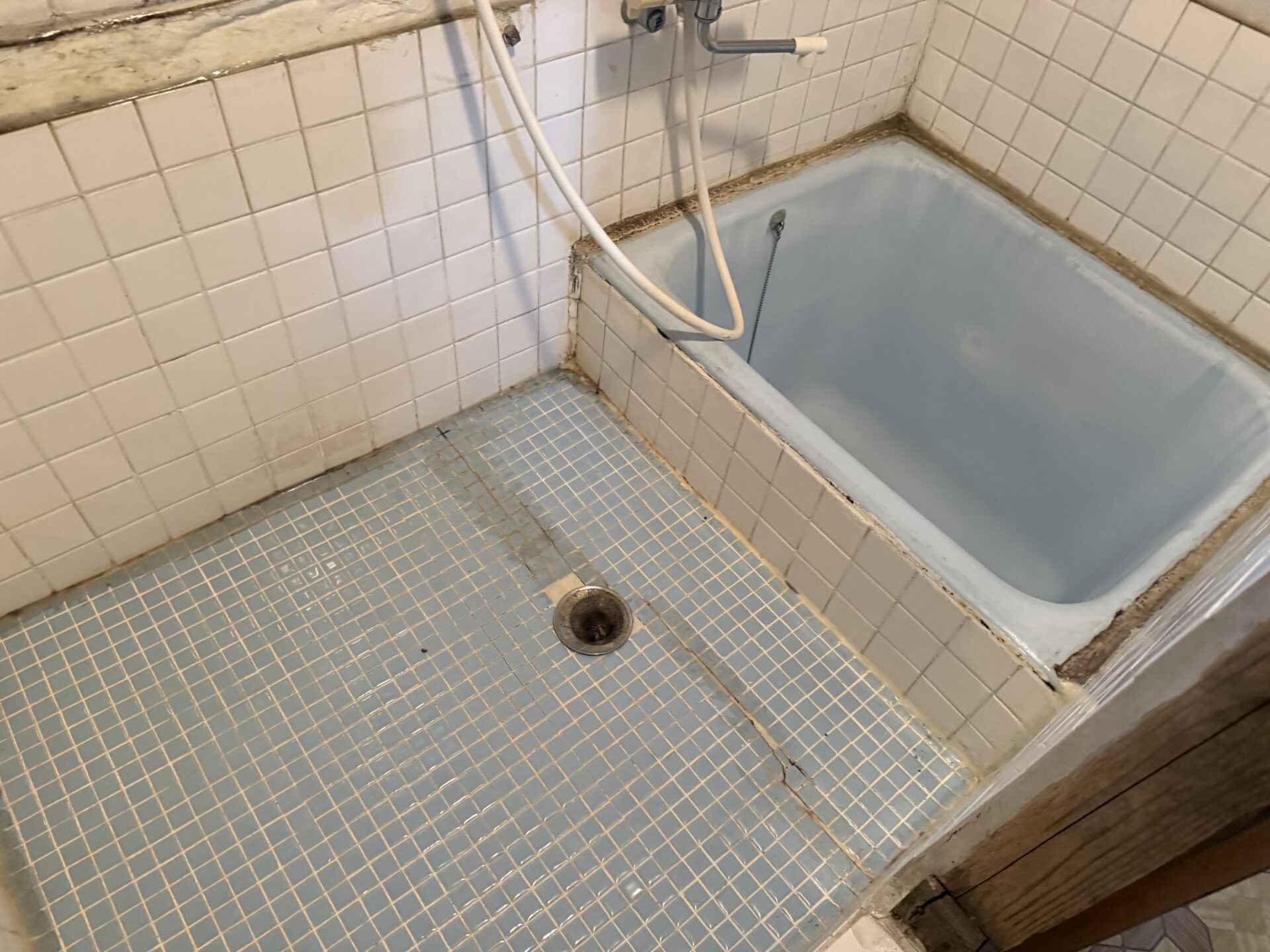 Before Image
