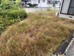 【庭木】剪定作業・雑草撤去作業
