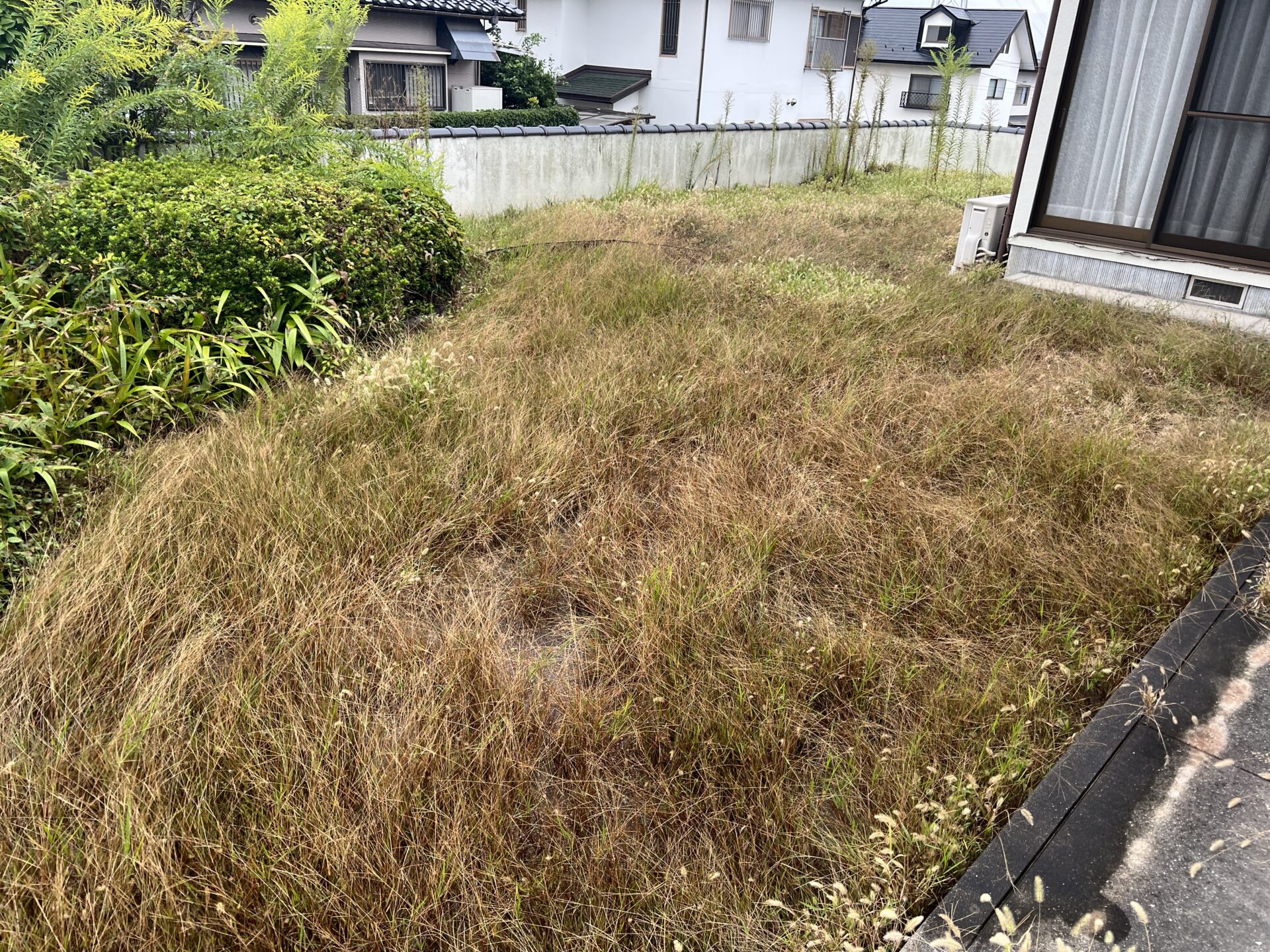 【庭木】剪定作業・雑草撤去作業