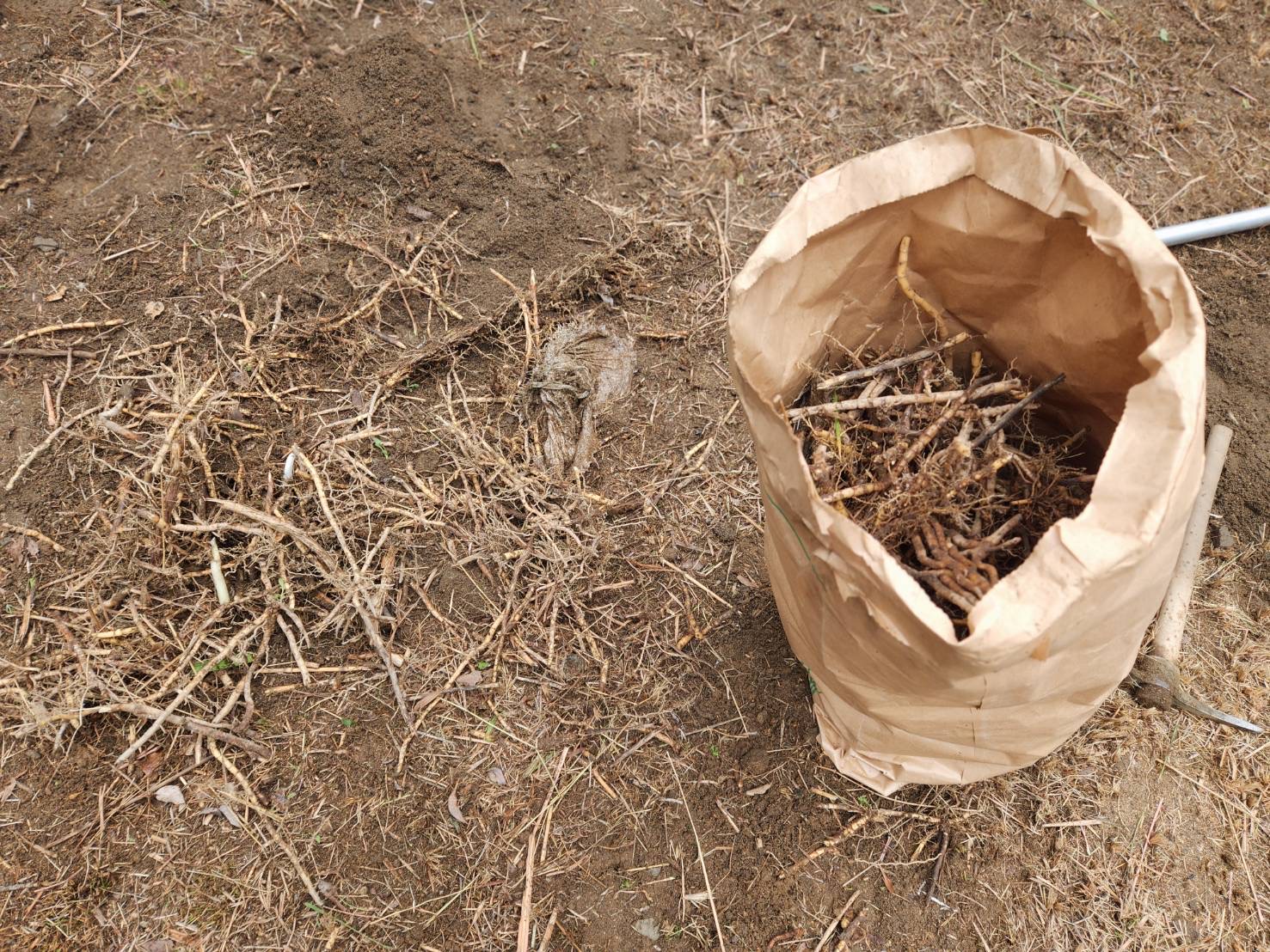 【空き地】除草作業 及 防草シート工事