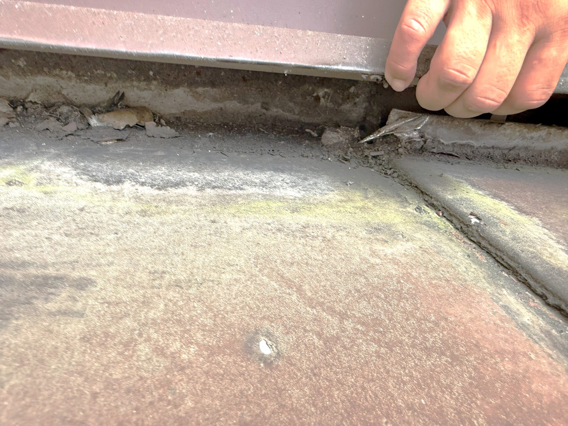 【戸建て】屋根 瓦棒塗装・雨漏り補修