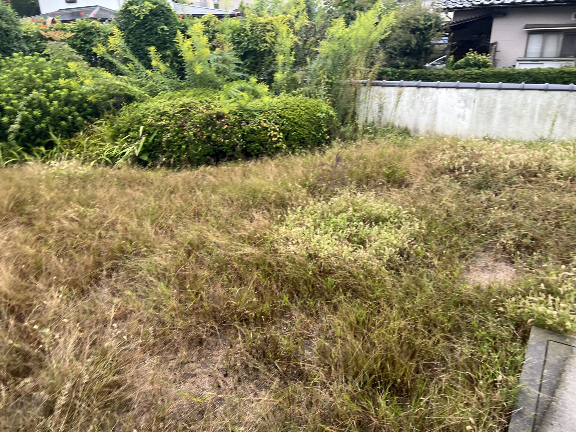 【庭木】剪定作業・雑草撤去作業