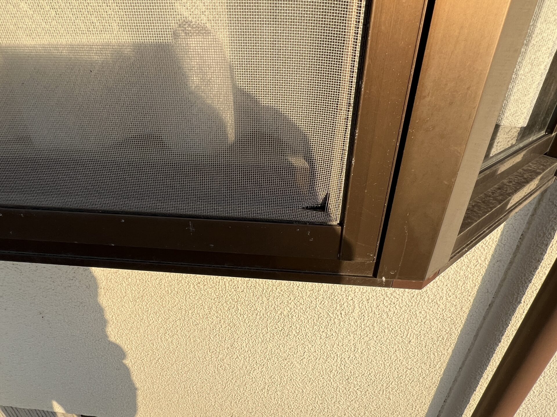 【戸建て】網戸 貼替工事