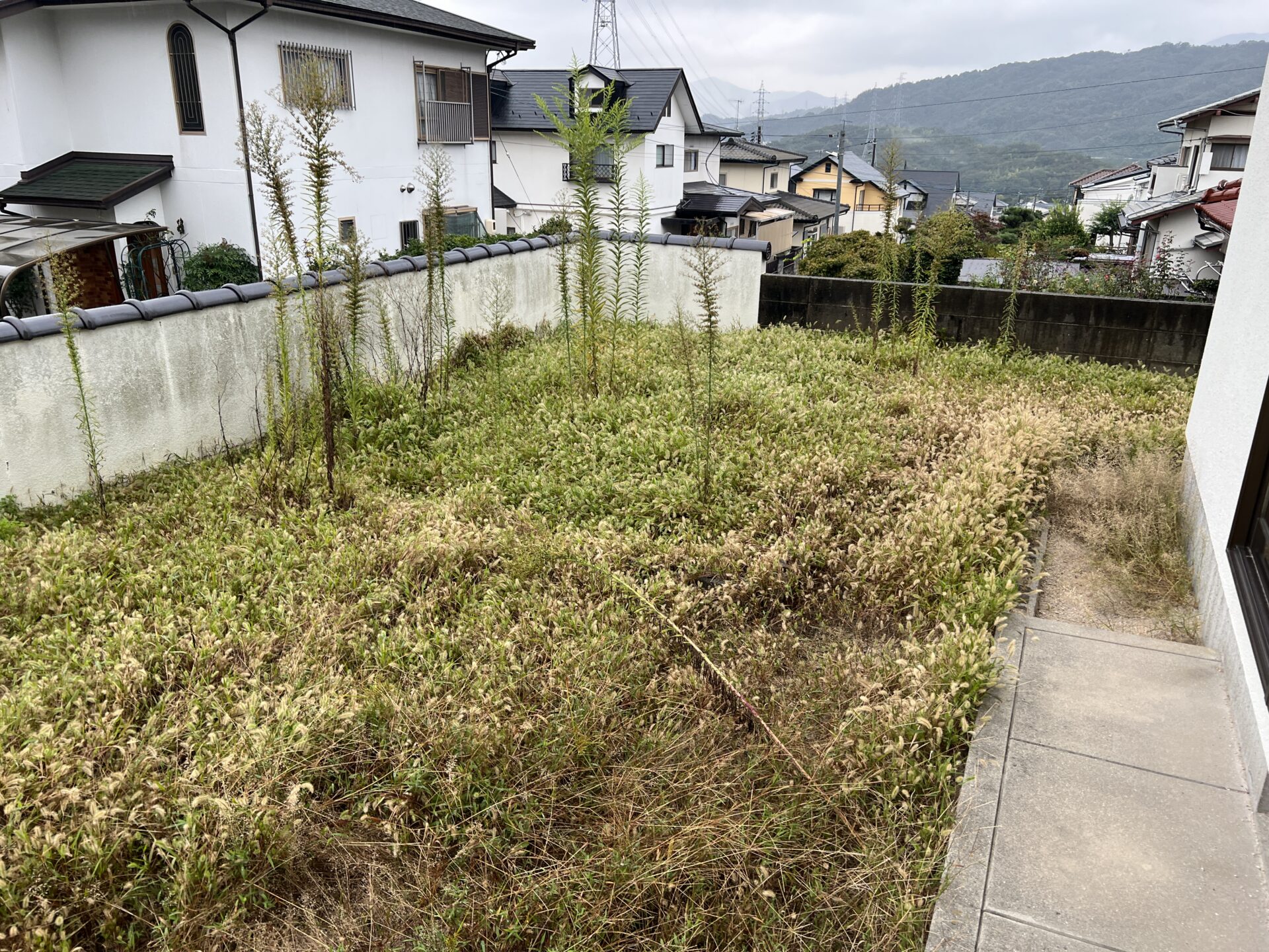 【庭木】剪定作業・雑草撤去作業