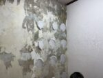 【納戸】壁 改修工事
