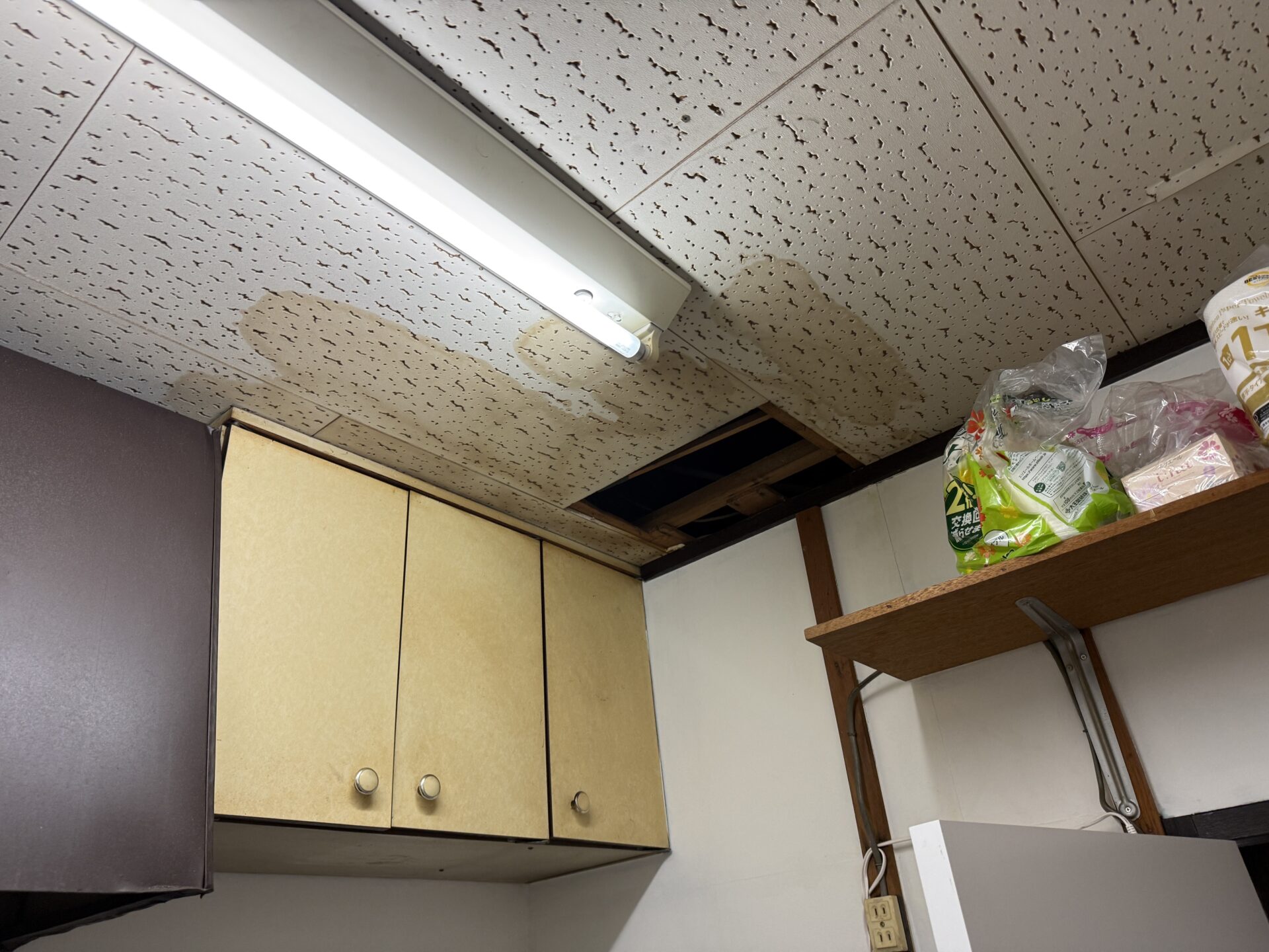 【ビル】表装工事