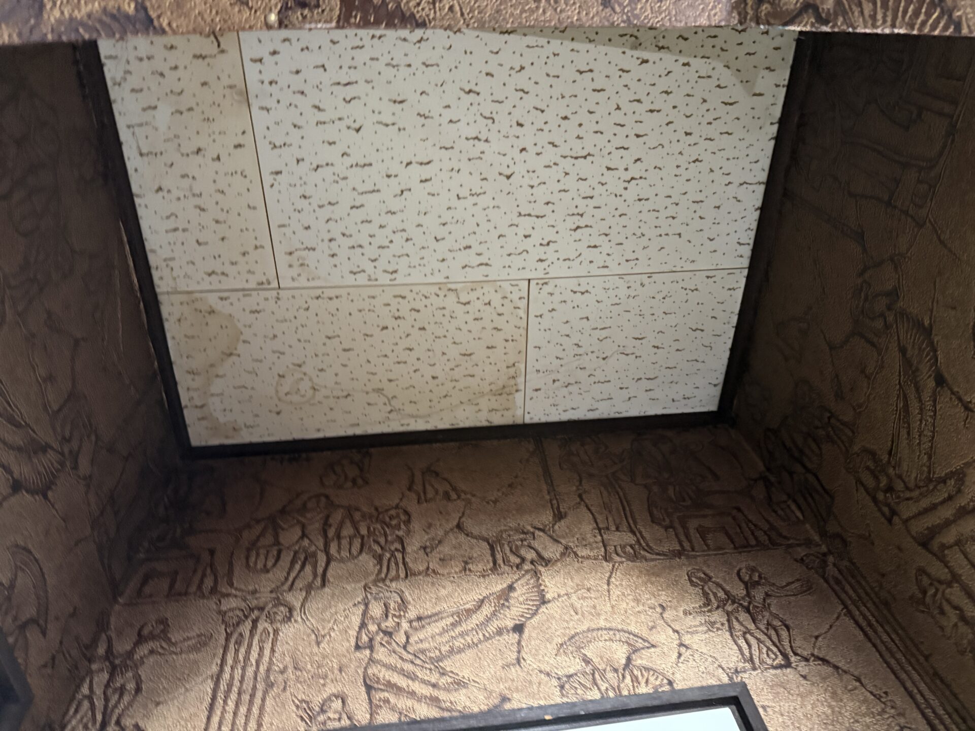 【ビル】表装工事