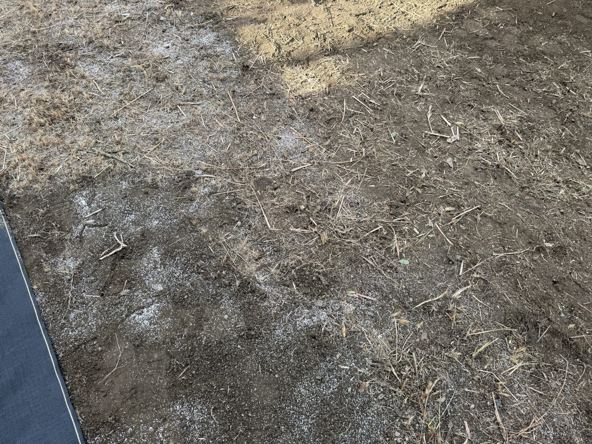 【空き地】除草作業 及 防草シート工事