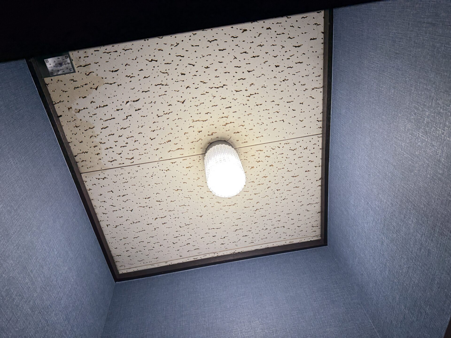 【ビル】表装工事