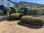 【庭木】剪定作業・雑草撤去作業