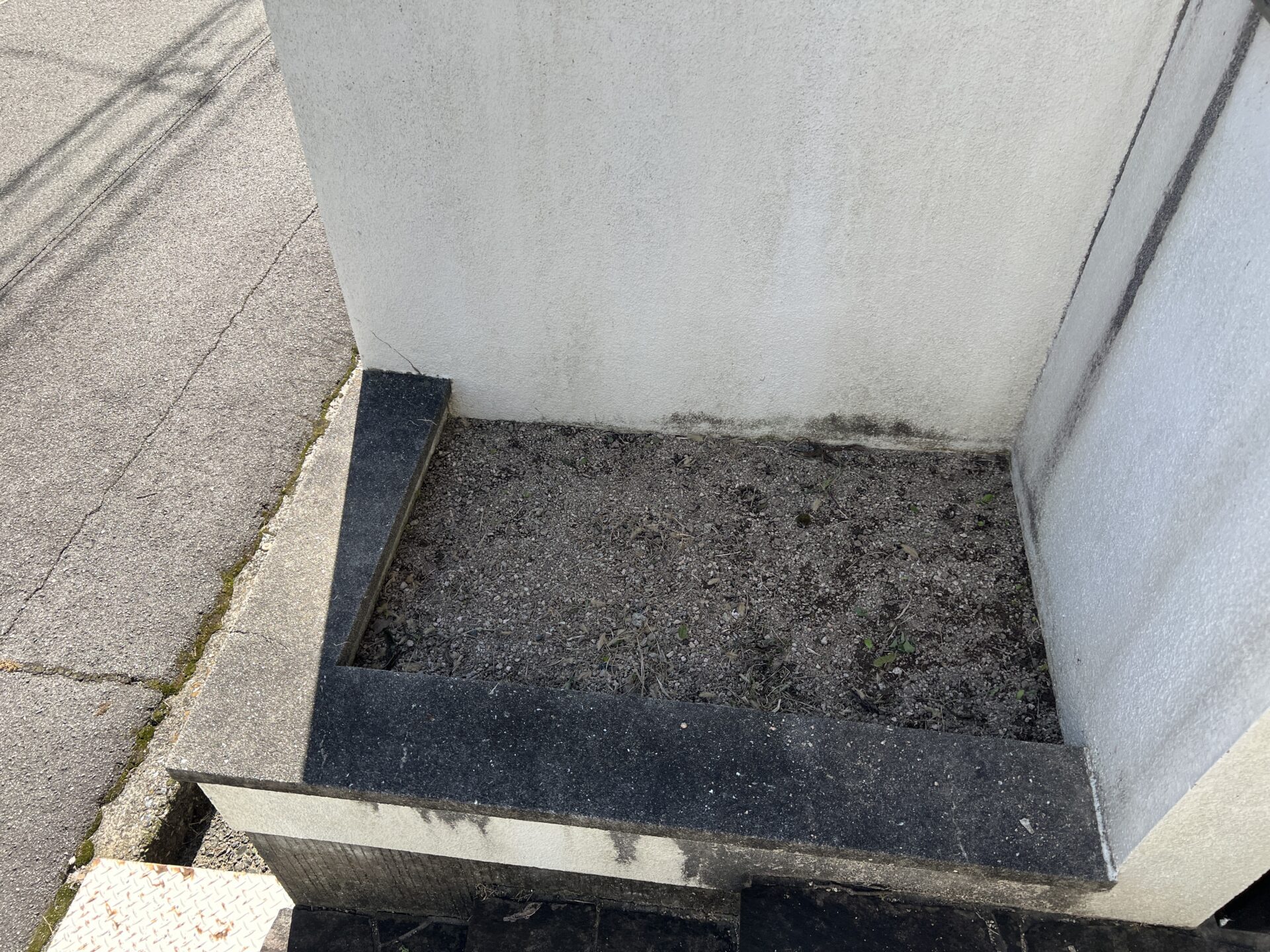 【庭木】剪定作業・雑草撤去作業