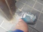 【戸建て】シロアリ駆除 及 予防工事