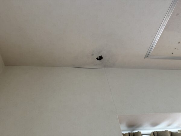 広島市で雨漏り・水漏れ工事をご検討の方へ、配管ドレン工事事例を広島市に地域密着のクリーンハウス工業がご紹介します