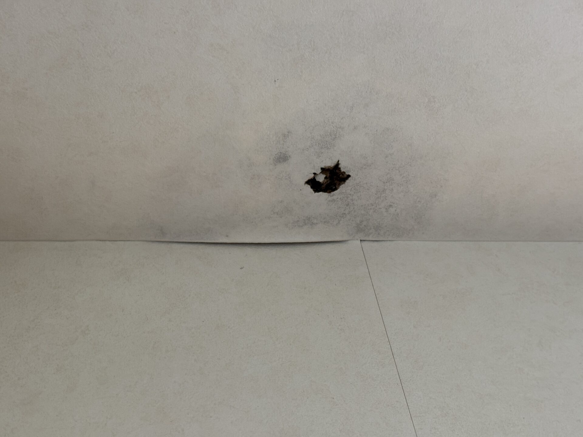 換気扇 配管ドレン工事