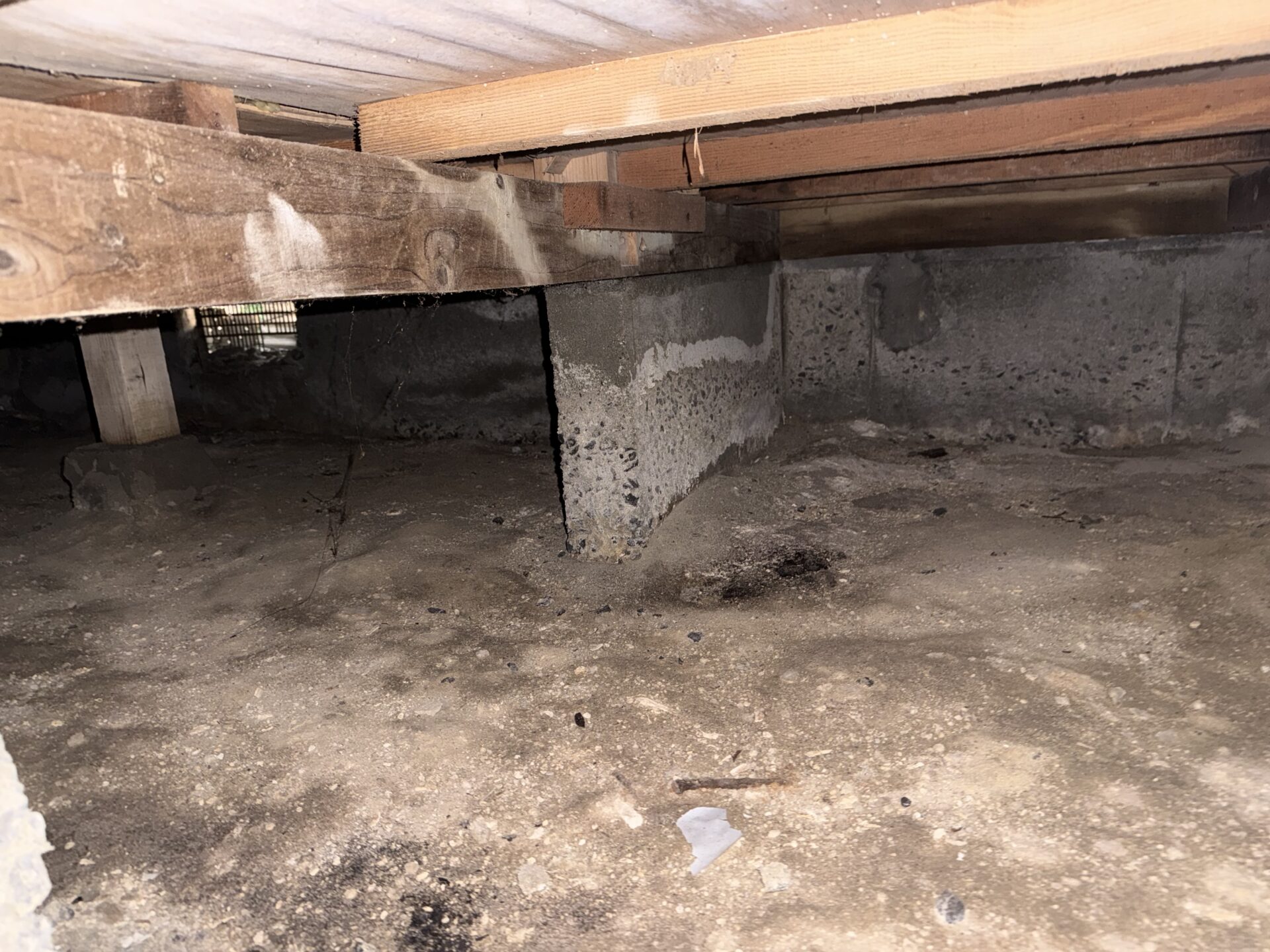 【戸建て】シロアリ駆除 及 予防工事