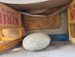 【一軒家】各部補強・補修工事