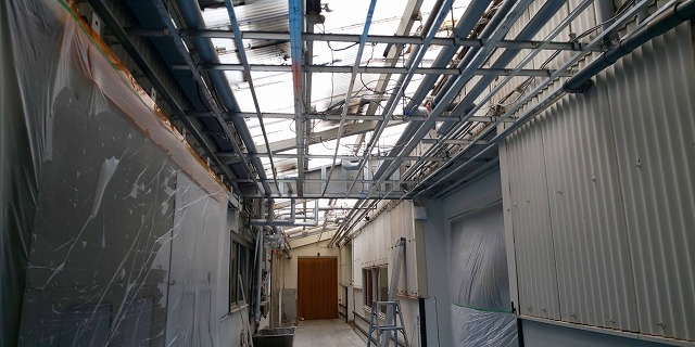 【工場】 天井改修工事（広島市中区南吉島）