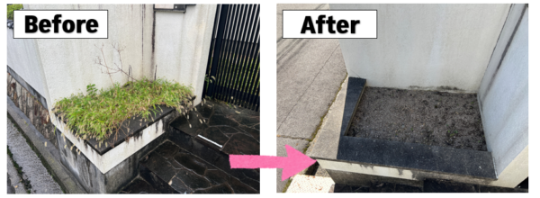 広島市で庭木剪定・雑草撤去工事をご検討の方へ、庭木剪定・雑草撤去工事事例を広島市に地域密着のクリーンハウス工業がご紹介します